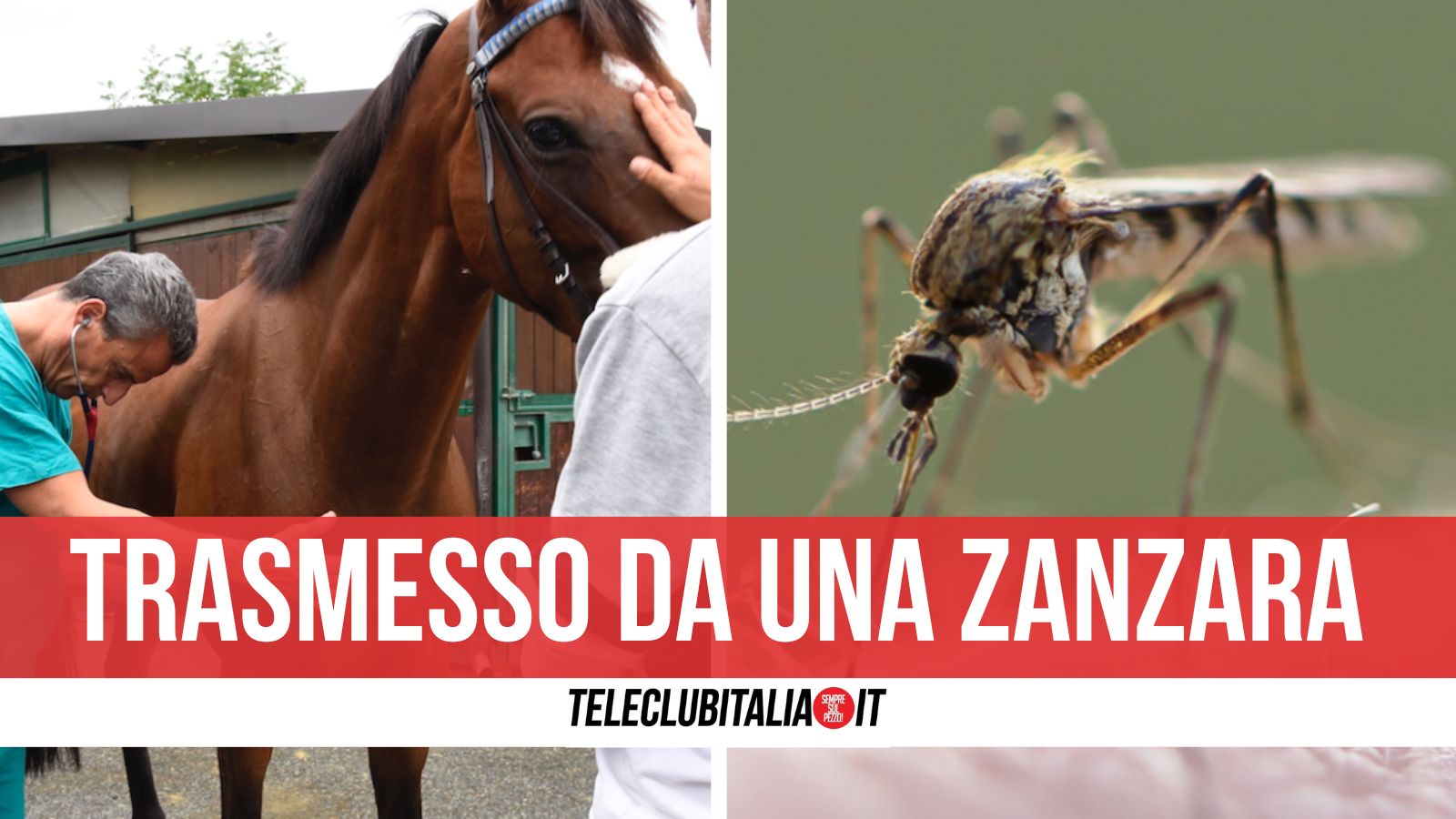 west nile castel volturno