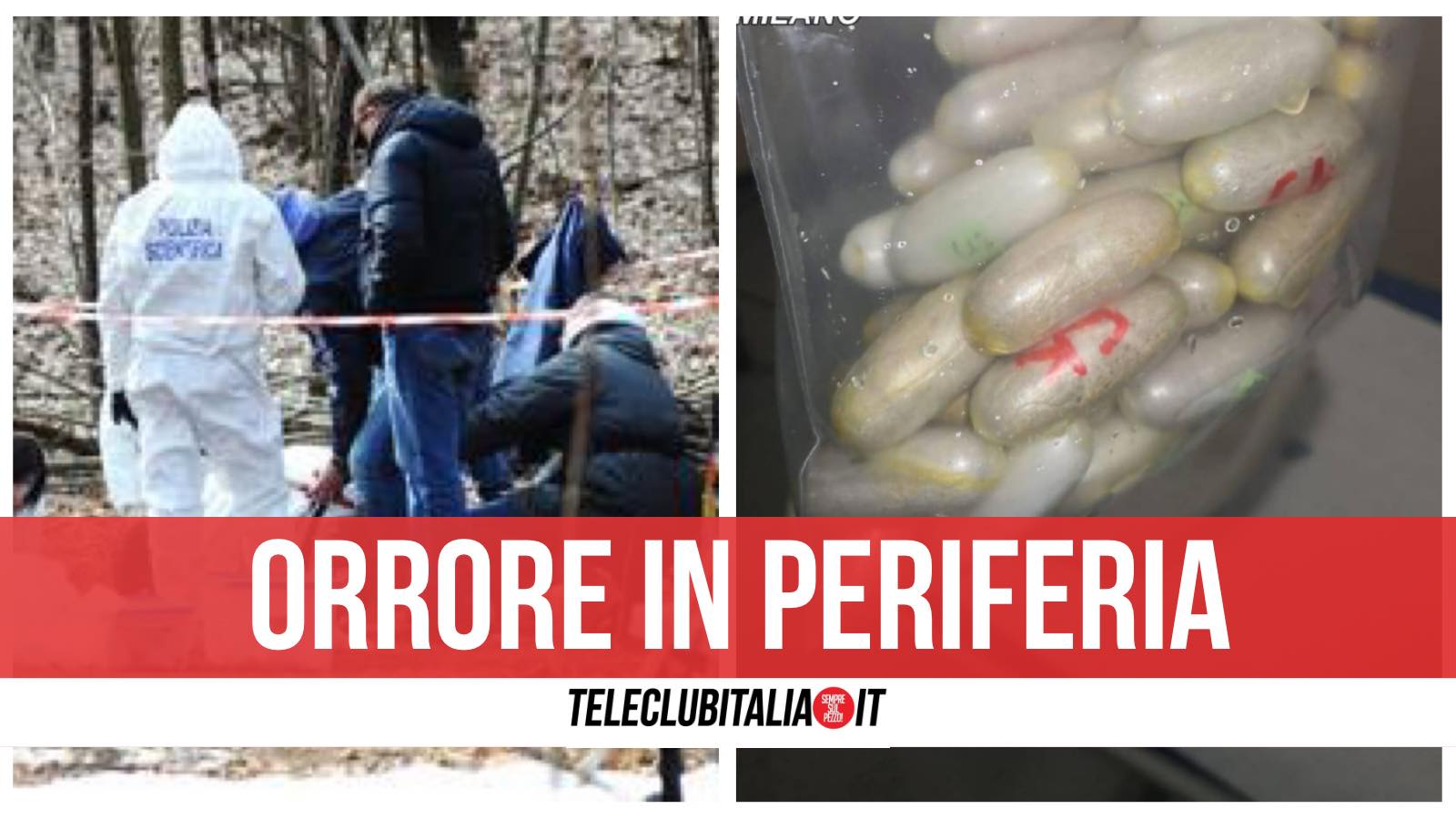 ovuli cocaina la spezia cadavere fatto a pezzi arresti ovuli cocaina la spezia cadavere fatto a pezzi arresti