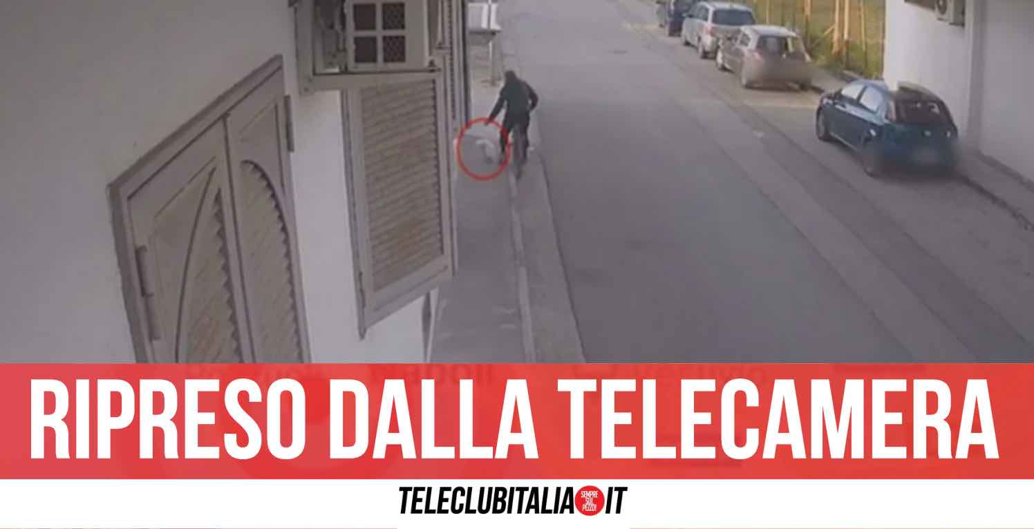 Afragola, chiude cagnolino in un sacchetto e lo abbandona in strada: il cucciolo muoreAfragola, Afragola, chiude cagnolino in un sacchetto e lo abbandona in strada: il cucciolo muoreAfragola,