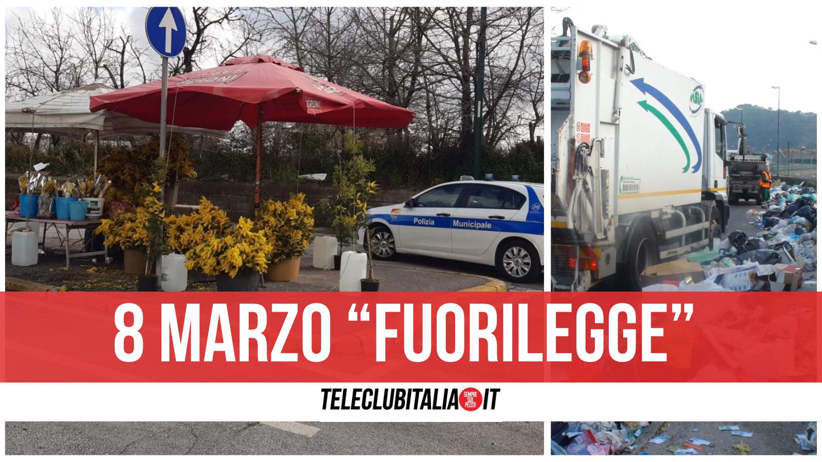 mimose venditori sequestro polizia municipale mimose venditori sequestro polizia municipale