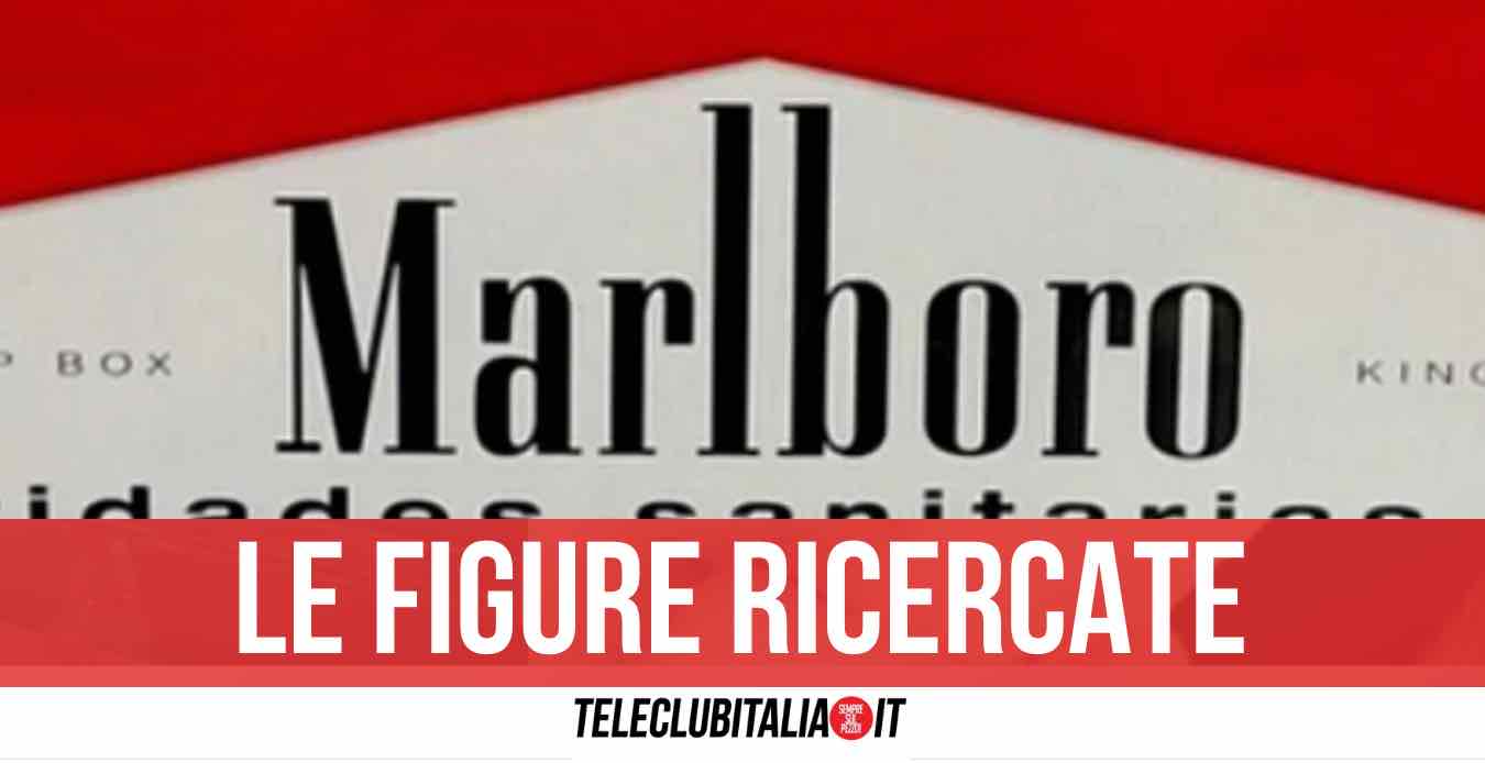 Philip Morris, maxi assunzione: stipendio a partire da 1500 euro