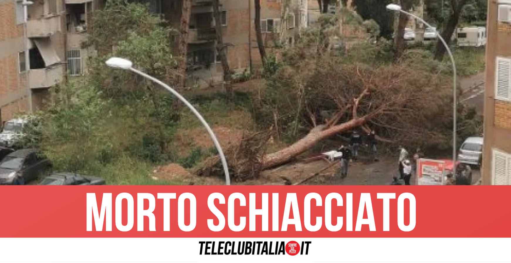 Temporali e raffiche di vento in Calabria, albero cade e uccide un uomo
