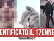 gattino montefusco 17enne identificato