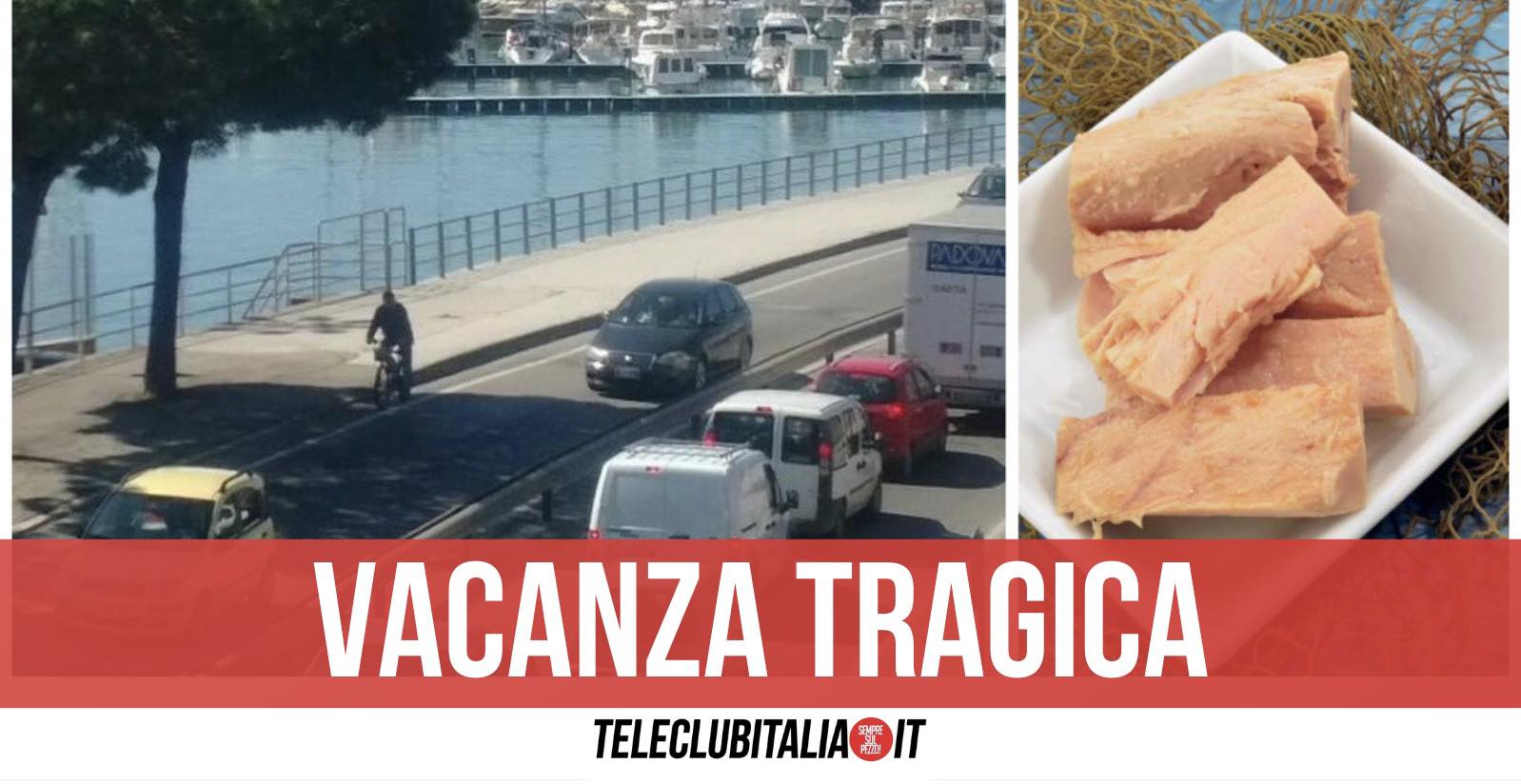 formia napoletani tonno sott'olio formia napoletani tonno sott'olio