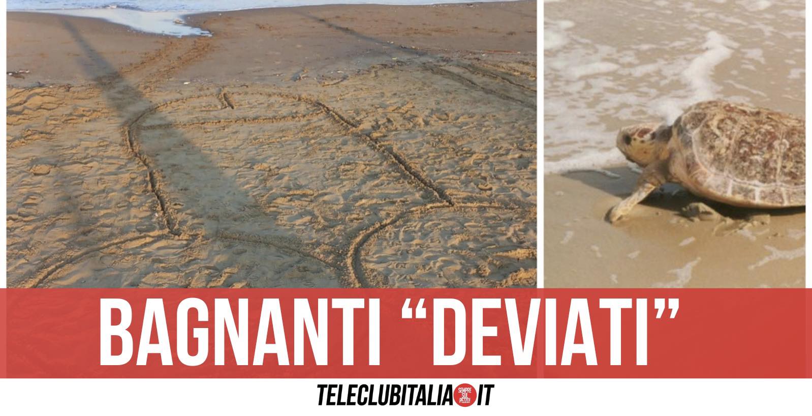 licola fallo disegnato spiaggia tartarughe