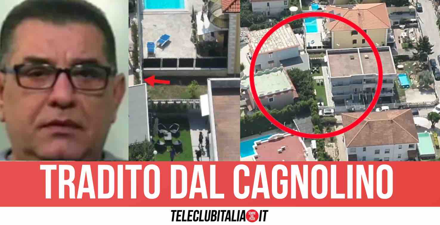 Latitanza finita per Luigi Cacciapuoti, arrestato in un blitz a Giugliano