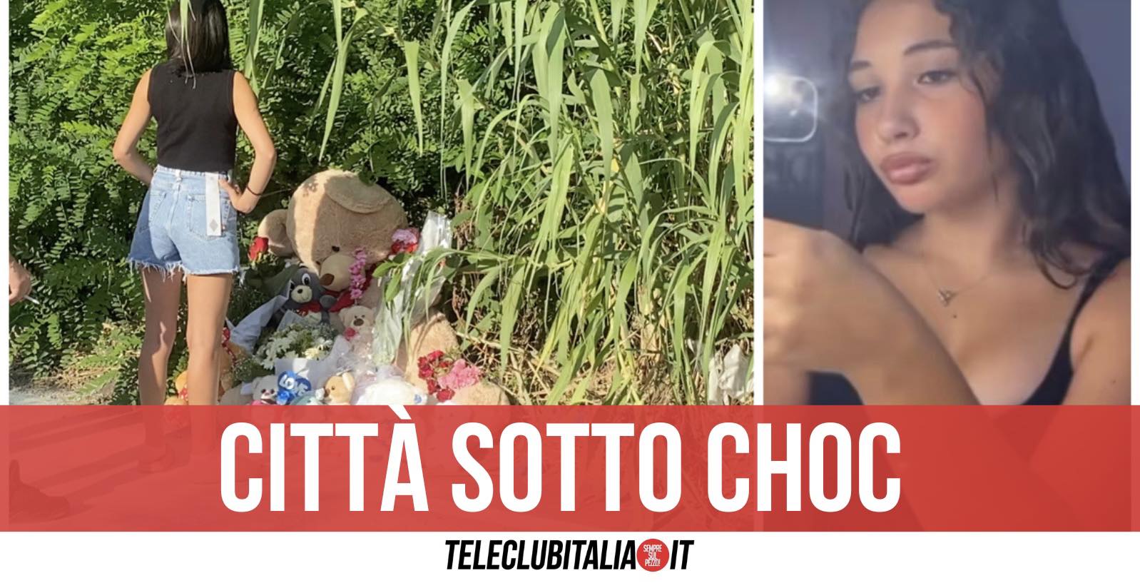 anna sommella viavai viale dei pini nord anna sommella viavai viale dei pini nord