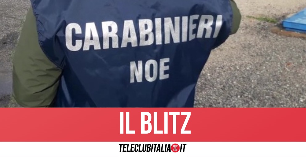Caivano, nota azienda nel mirino dei Carabinieri: sequestro da 1 milione di euro 