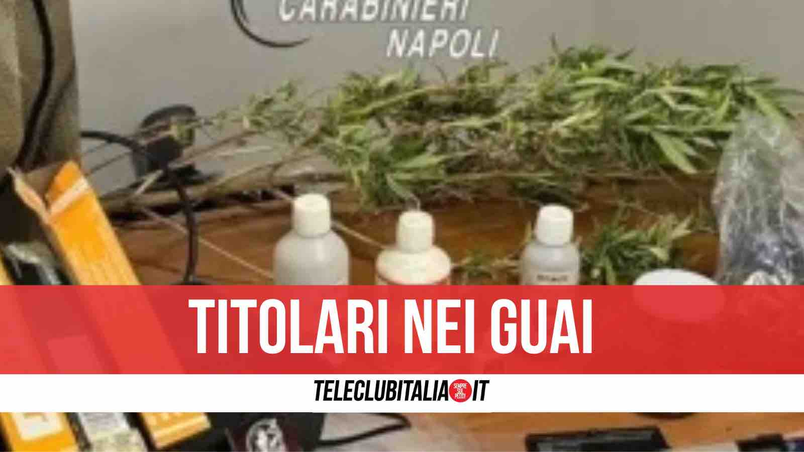 marijuana negozio mugnano