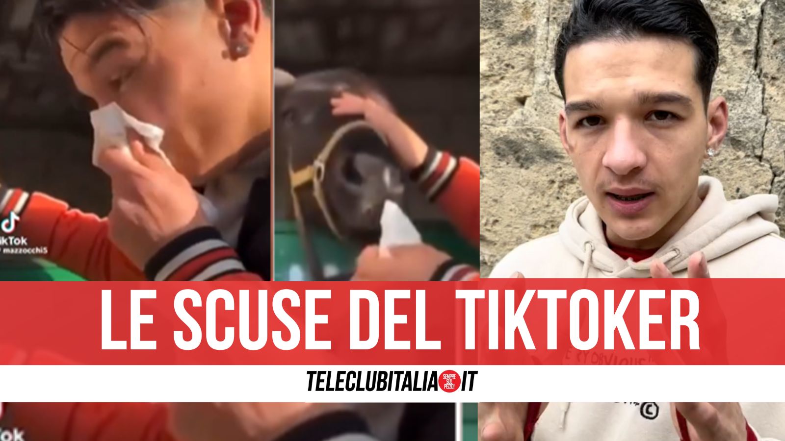 Fa mangiare fazzoletto a un cavallo, arrivano le scuse del Tiktoker Patrizio