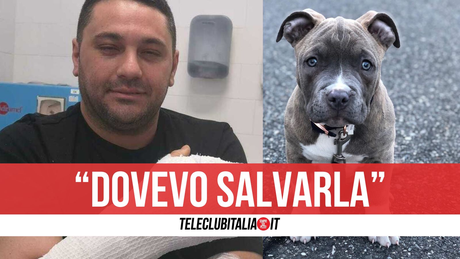 Napoli: perde tre dita per salvare la cagnolina dallo scoppio di un petardo
