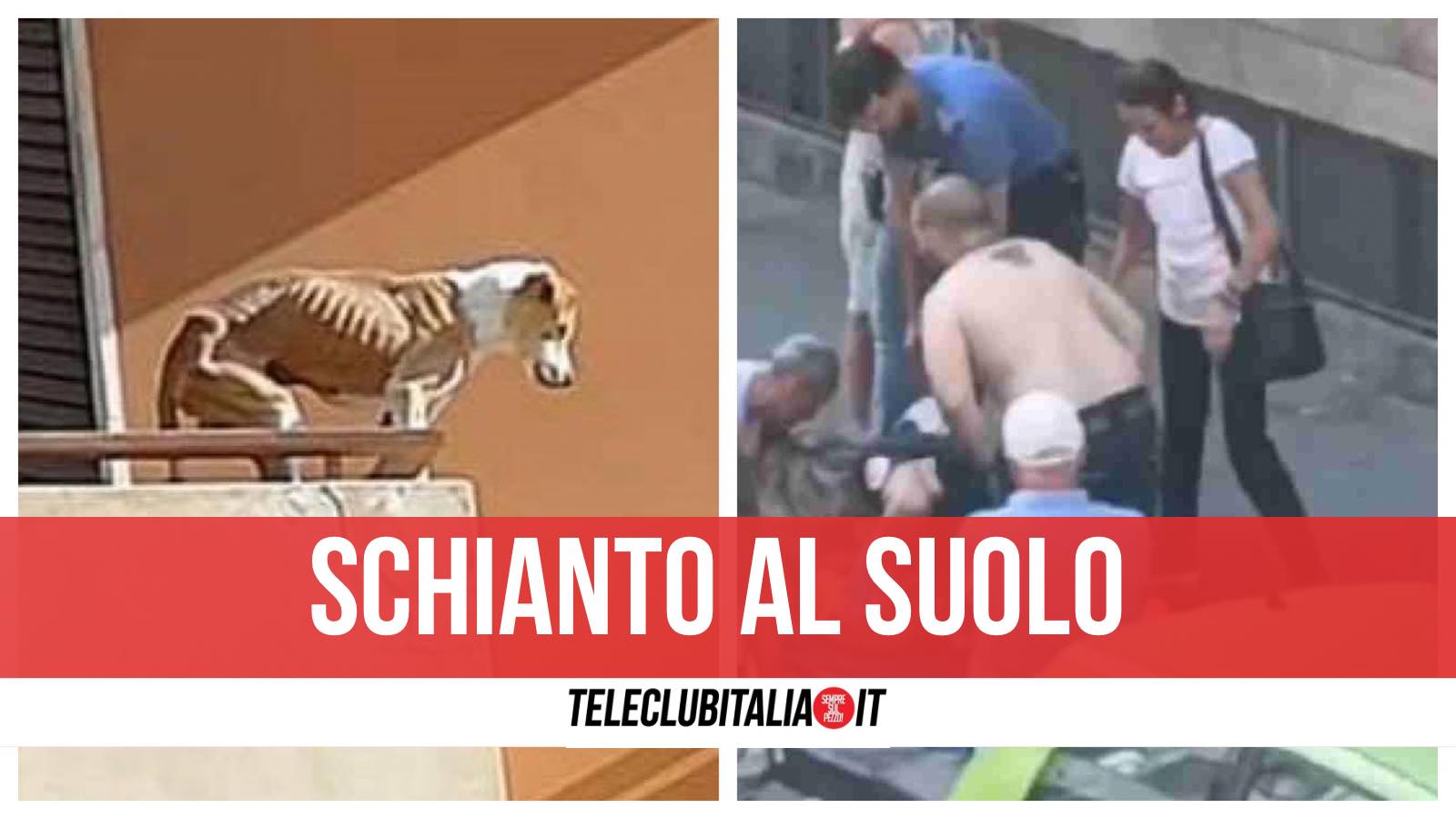 san felice a cancello precipitato balcone pitbull