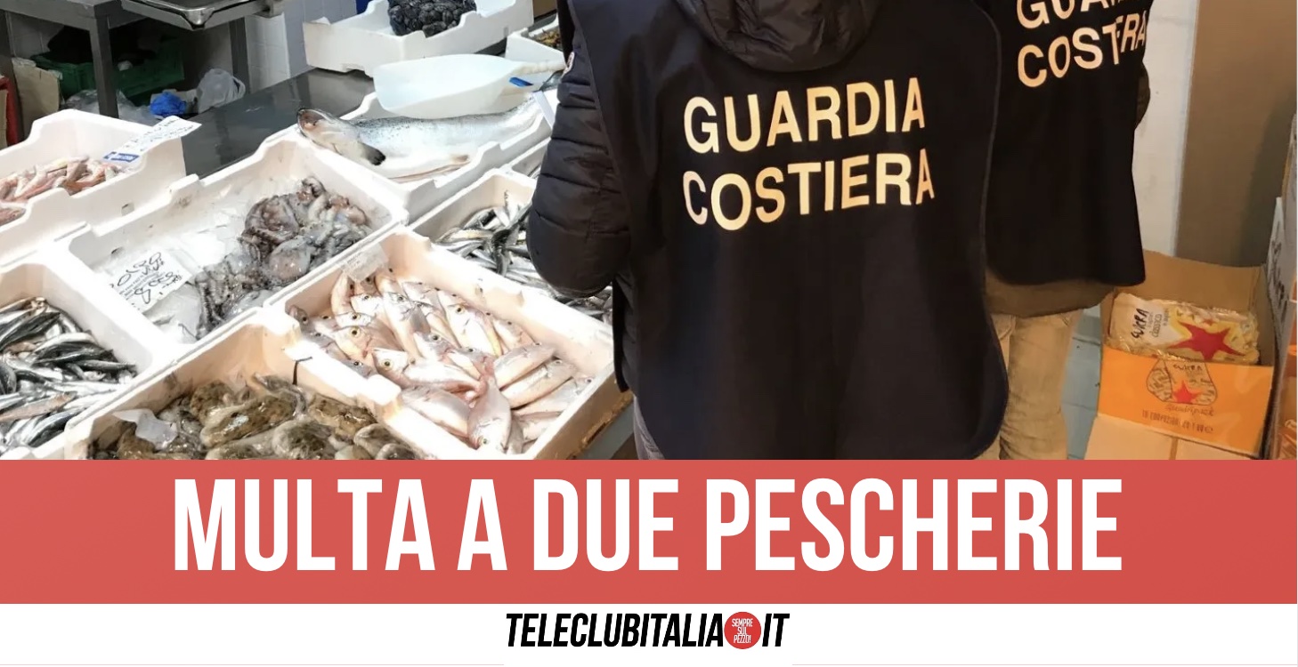 Torre Del Greco 40 Kg Di Pesce Sequestrati A Due Pescherie