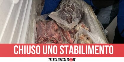 Mattatoio sporco a Napoli, sequestrate 8 tonnellate di carne e frattaglie