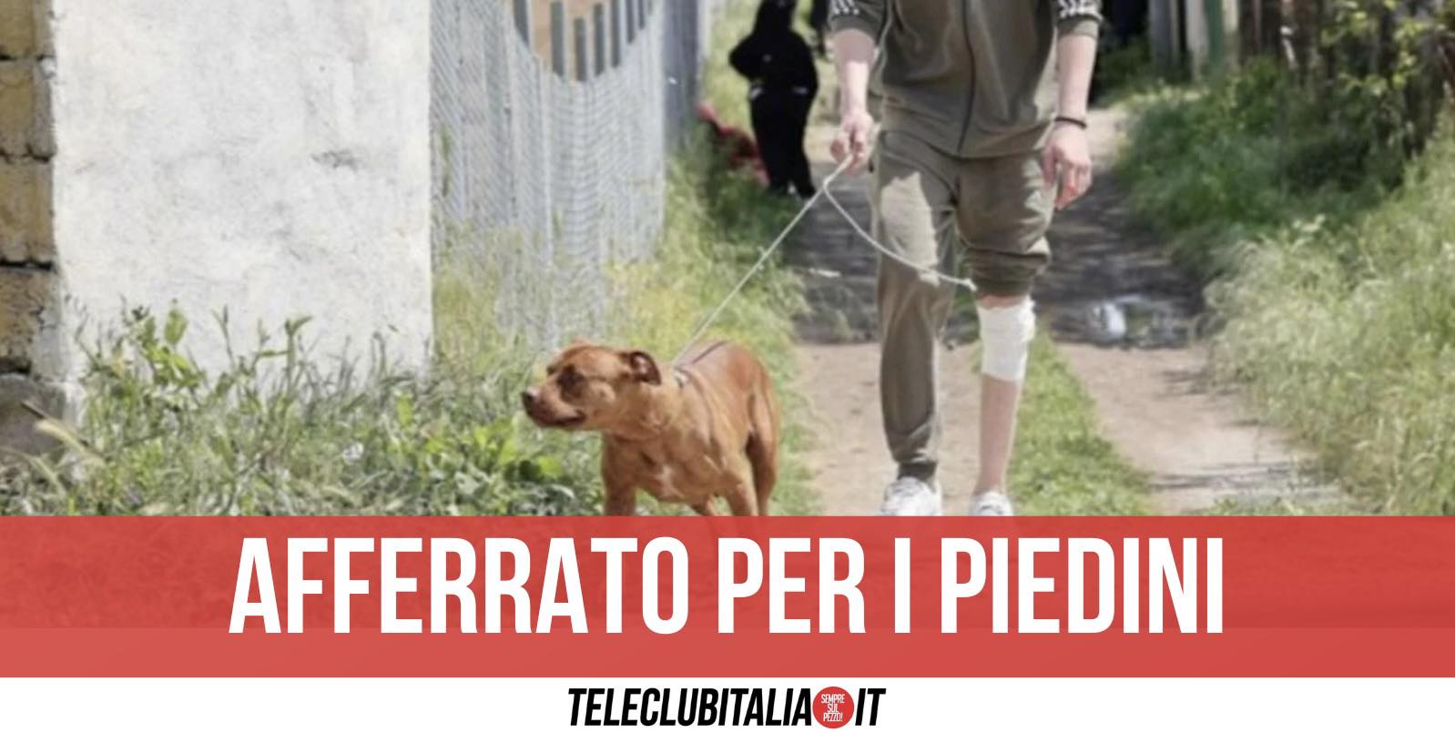 Pitbull Eboli Avevano Ucciso Padre