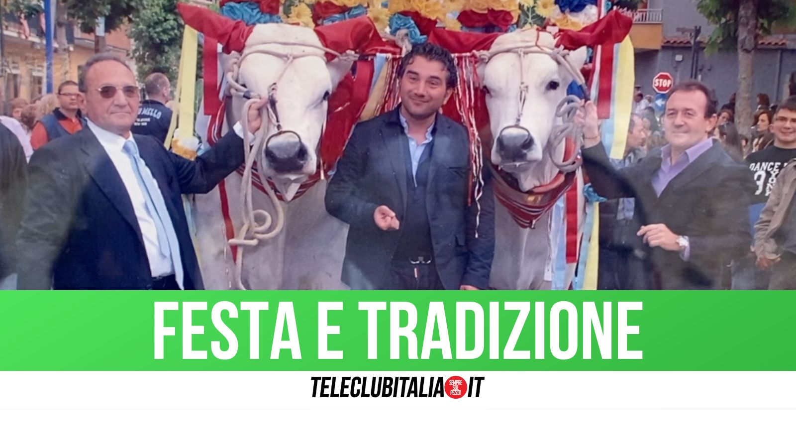 Madonna della Pace, i buoi in processione: la storia raccontata da Giuseppe Fontanella