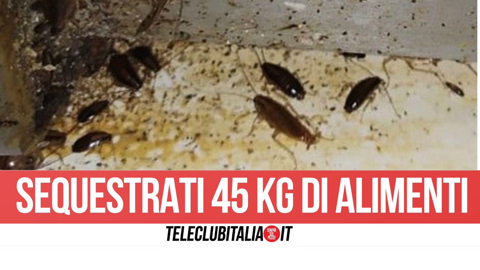 Capodrise controlli da Teleclubitalia.it capodrise controlli igienicosanitari alimenti illegali e insetti nel laboratorio del supermercato