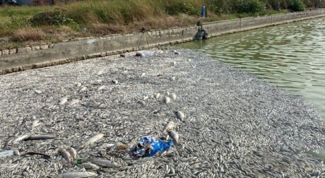 Darsena Sequestro Impianto Acque Refluee Castel Volturno