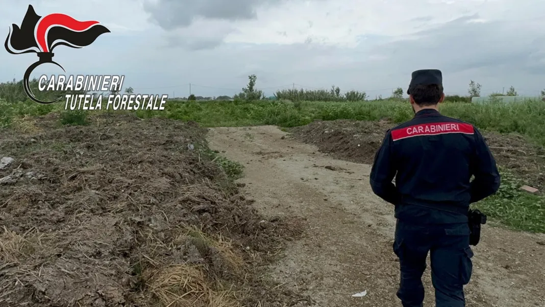 Sequestro Distesa Di Letame Lago Patria