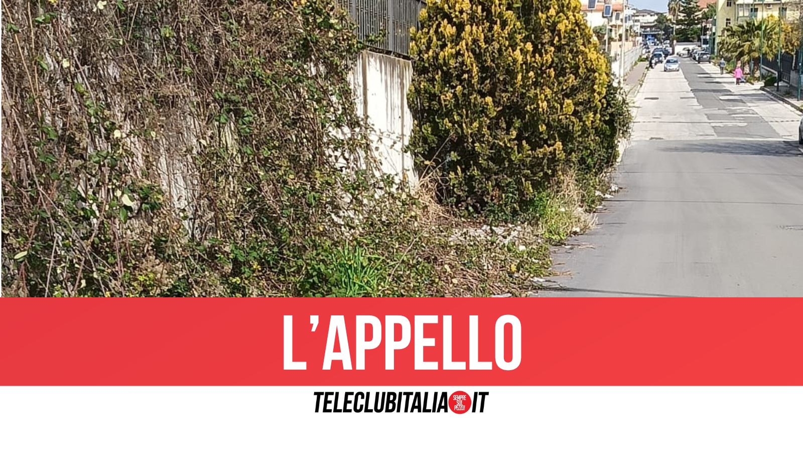 Villaricca, verde pubblico. Le forze di minoranza:”Cittadini costretti a tagliare l’erba da soli, comune assente” Villaricca, verde pubblico. Le forze di minoranza:”Cittadini costretti a tagliare l’erba da soli, comune assente”