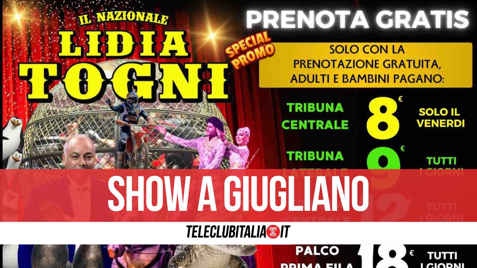 il circo lidia togni torna a giugliano emozioni adrenalina e spettacolo dal 6 al 22 giugno