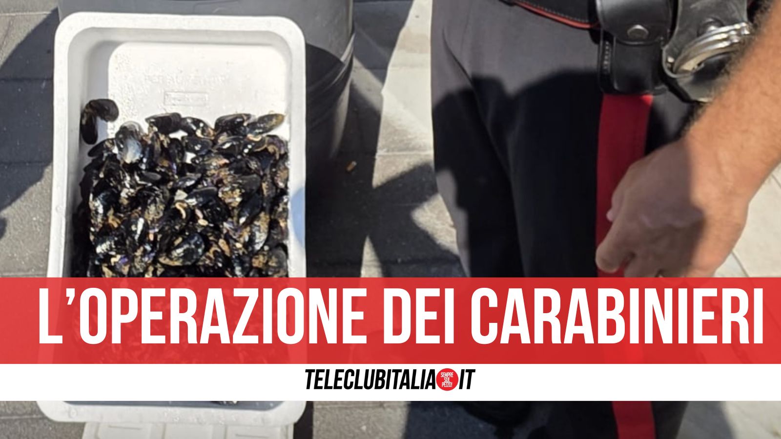 ceste e barili pieni di cozze e frutti di mare scoperti a boscoreale 113 chili di cibo in pessime condizioni igieniche