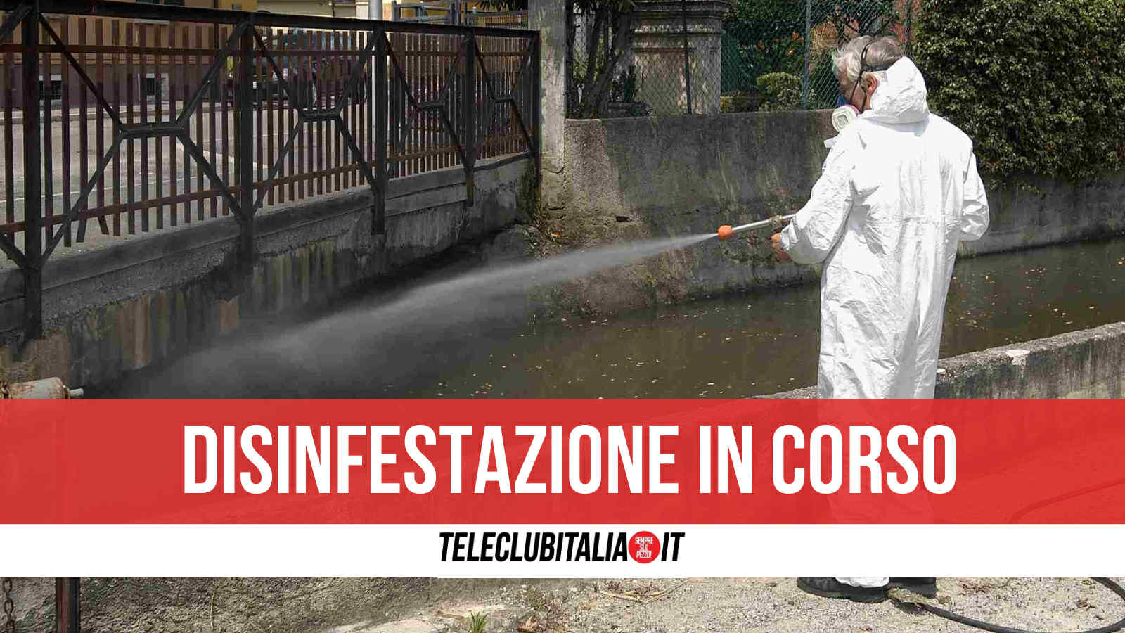 napoli interventi di disinfestazione in diversi parchi urbani chiudono diverse aree verdi