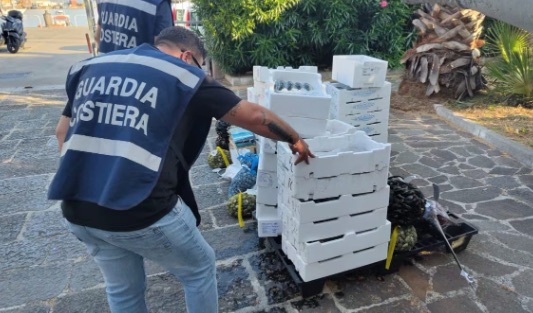Pompei, sequestrati 390 kg di prodotti ittici privi di tracciabilità: sanzioni per 1.500 euro