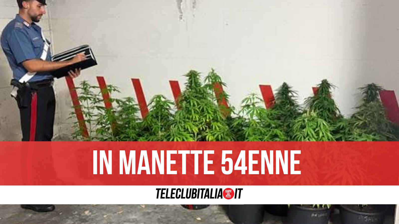 cesa giardino trasformato in piantagione di droga arrestato 54enne
