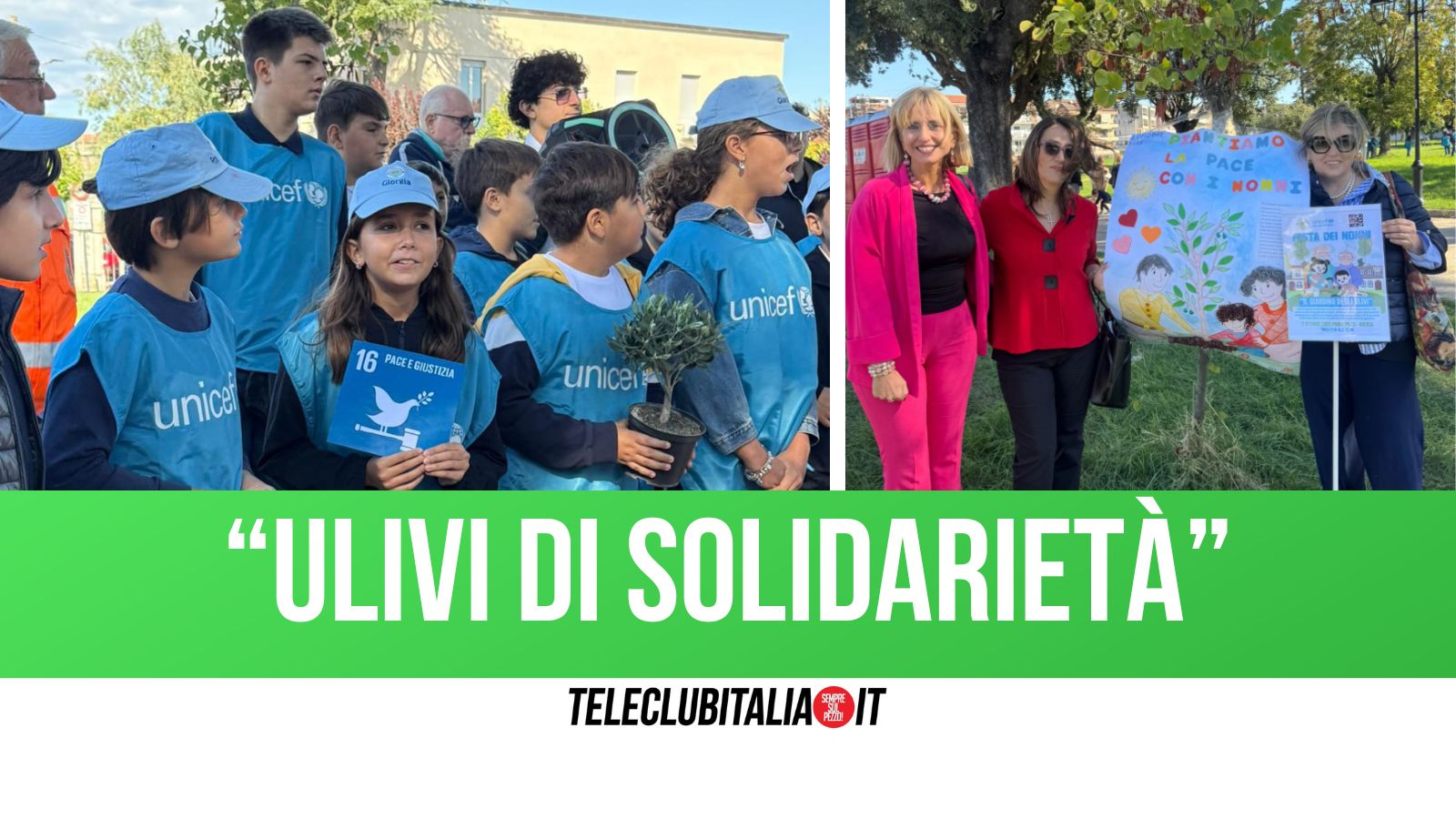 Aversa, piantati 30 piccoli ulivi della pace al parco Pozzi: l’iniziativa di Unicef e del “Cimarosa”