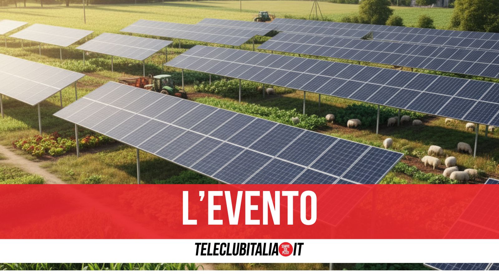 parco agrivoltaico pi249 innovativo e sostenibile d8217italia luned236 l8217incontro a napoli
