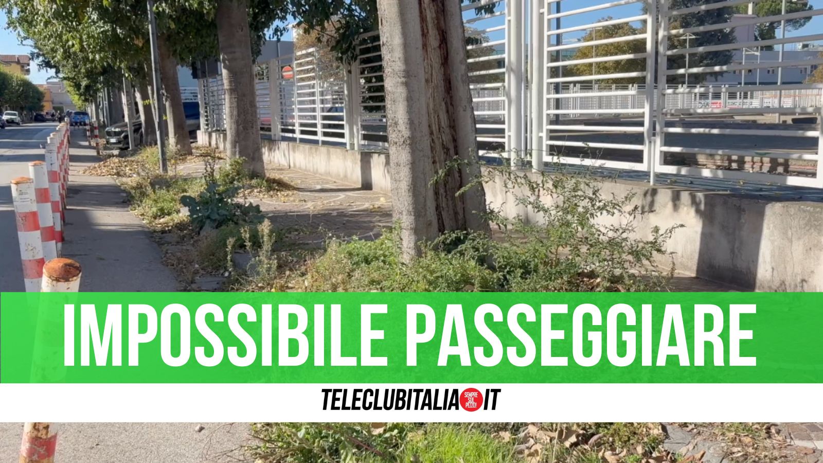 Impossibile passeggiare, marciapiedi impraticabili nella strada dietro l’ospedale di Giugliano Impossibile passeggiare, marciapiedi impraticabili nella strada dietro l’ospedale di Giugliano