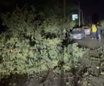 Giugliano, albero crolla sui fili dell’alta tensione: tragedia sfiorata in via Santa Caterina da Siena