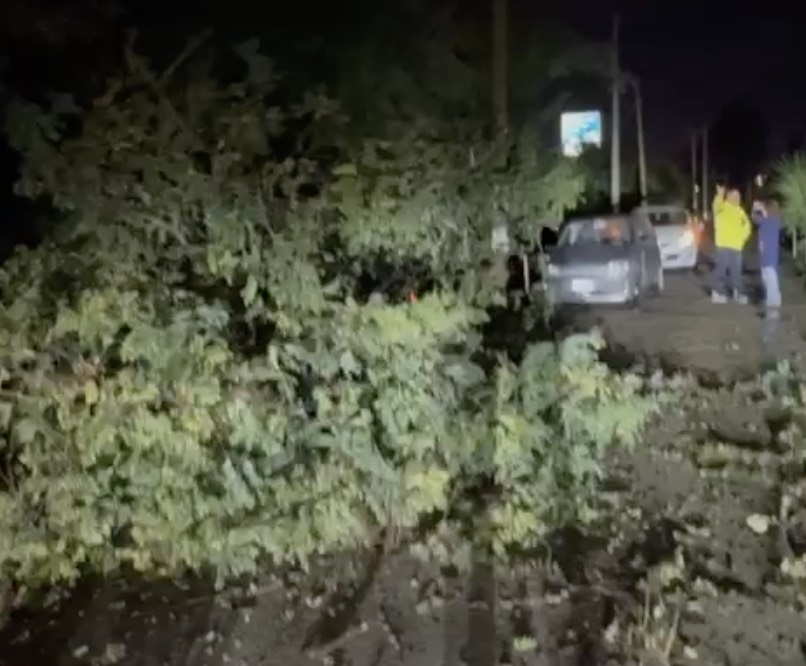 Giugliano, albero crolla sui fili dell’alta tensione: tragedia sfiorata in via Santa Caterina da Siena