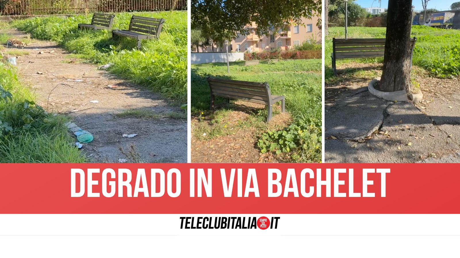 Aversa, torna il caso di via Bachelet: erba alta e incuria nelle aiuole abbandonate