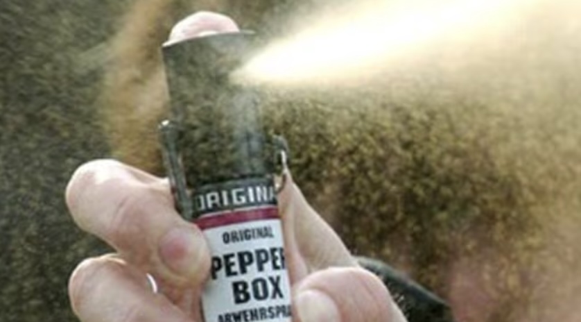 Furto e rapina in pochi minuti nel casertano e fuga con spray al peperoncino: arrestato 22enne