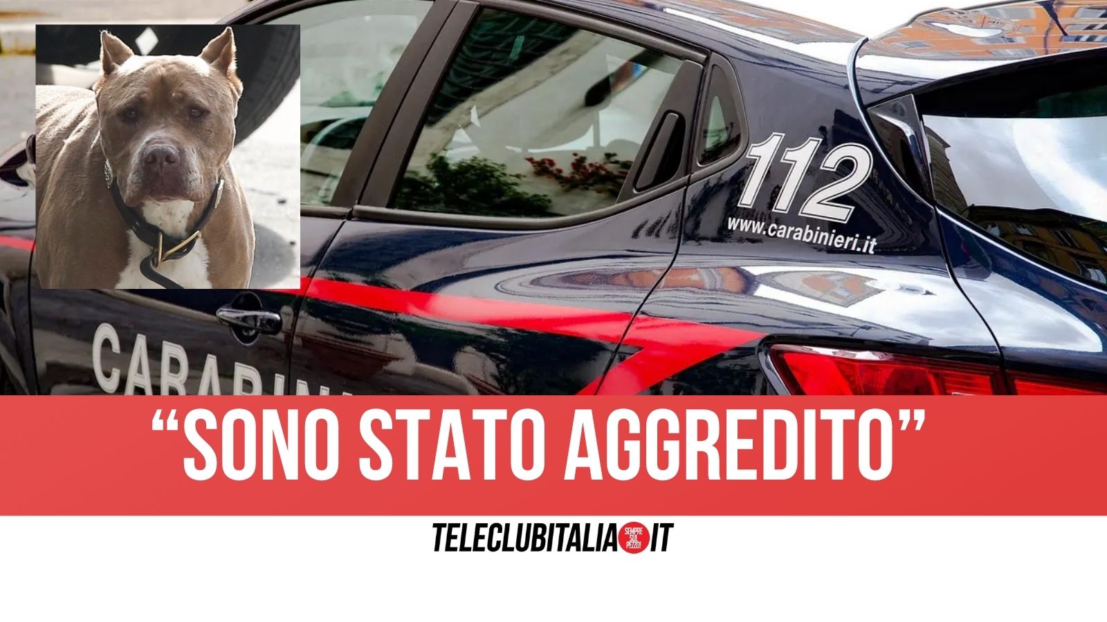 Gricignano di Aversa, aggredito da un cane insulta i Carabinieri: nei guai 53enne Gricignano di Aversa, aggredito da un cane insulta i Carabinieri: nei guai 53enne