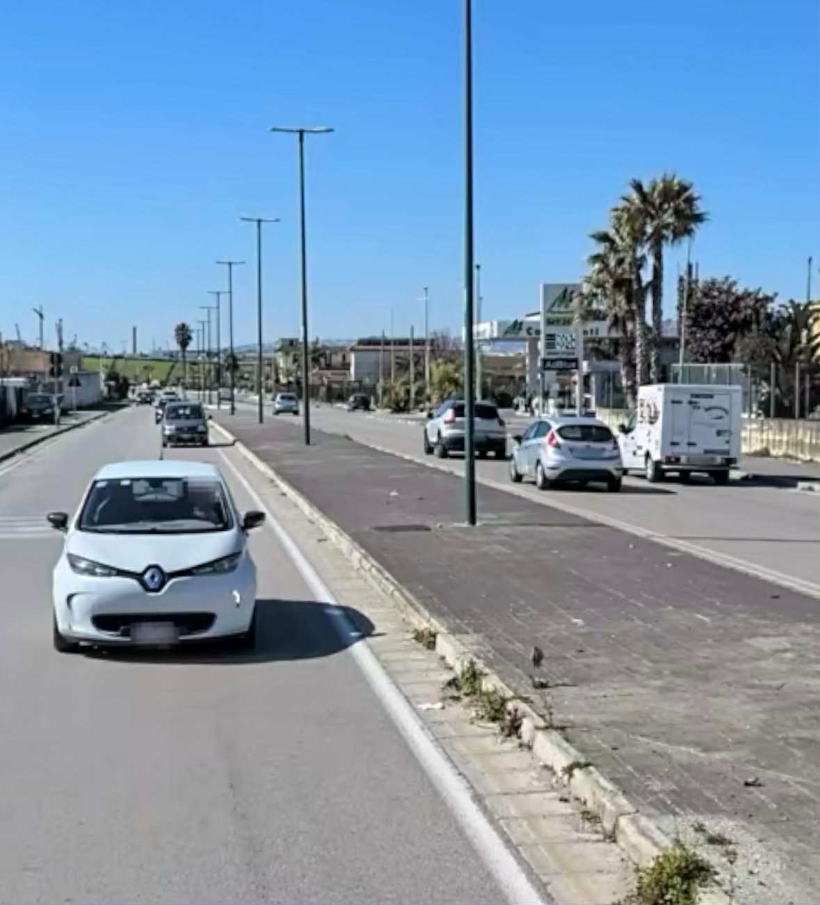 Napoli, morto dopo un mese di agonia Mario Castello: anche lui investito sulle strisce pedonali