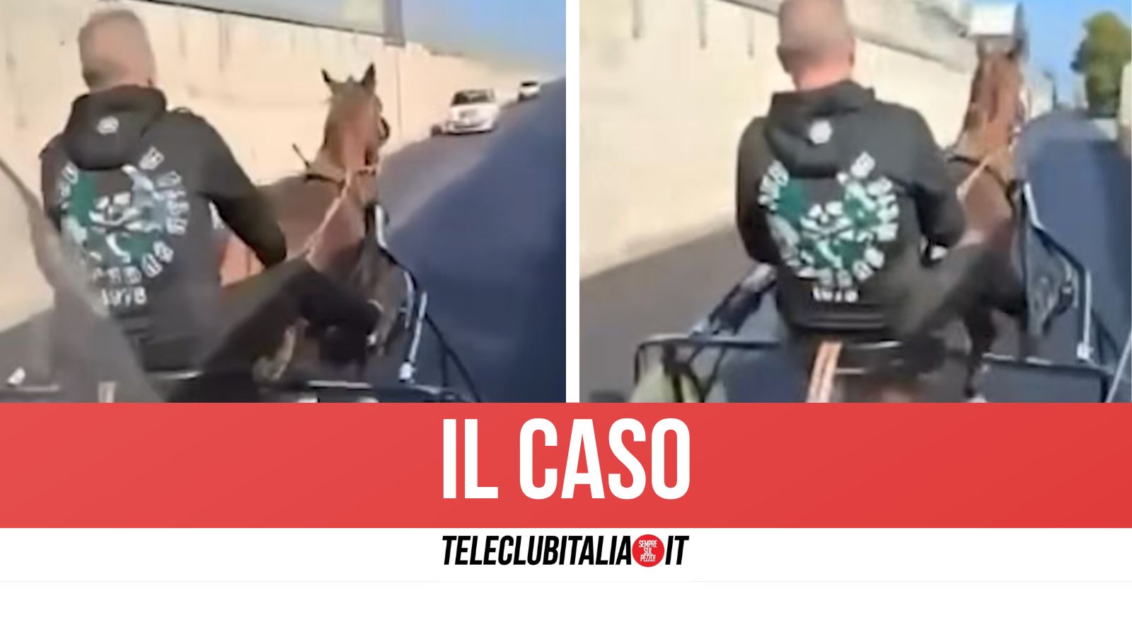 napoli cavallo spronato a frustate e inseguito da scooter a capodichino da Teleclubitalia.it napoli cavallo spronato a frustate e inseguito da scooter a capodichino
