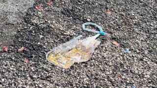 Quarto degrado al piazzale del mercato