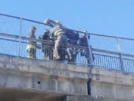 Afragola, tragedia evitata a Natale: guardia giurata salva un uomo sul cavalcavia dell’Asse Mediano