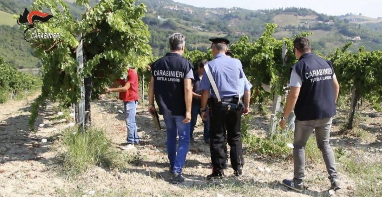 Agro aversano, braccianti costretti a lavorare 14 ore al giorno per 2 euro l'ora : arrestati imprenditore e moglie