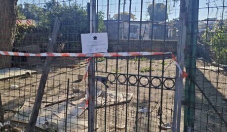 Melito, tre aiuole trasformate in box per cani: blitz di Municipale e Carabinieri nel rione 219