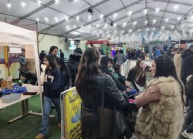 Mugnano sul ghiaccio: grande affluenza e boom di visitatori l’8 dicembre per la pista di pattinaggio