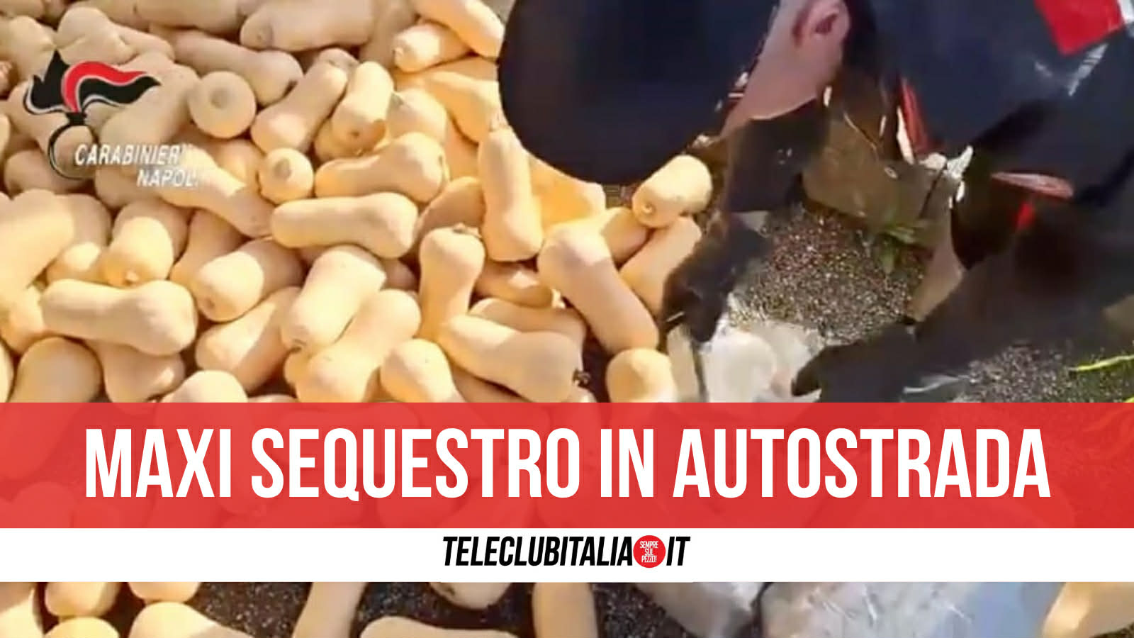 quasi 400 chili di droga tra il carico di frutta e verdura fermato tir sull8217a1 all8217altezza di capua da Teleclubitalia.it quasi 400 chili di droga tra il carico di frutta e verdura fermato tir sull8217a1 all8217altezza di capua