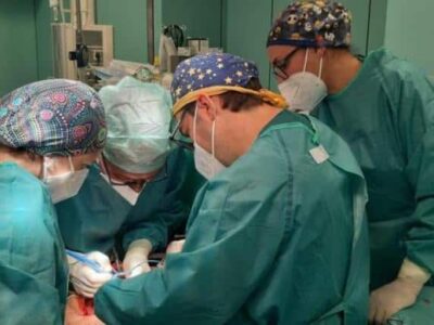 cuore ghiaccio napoli trapianto sei indagati