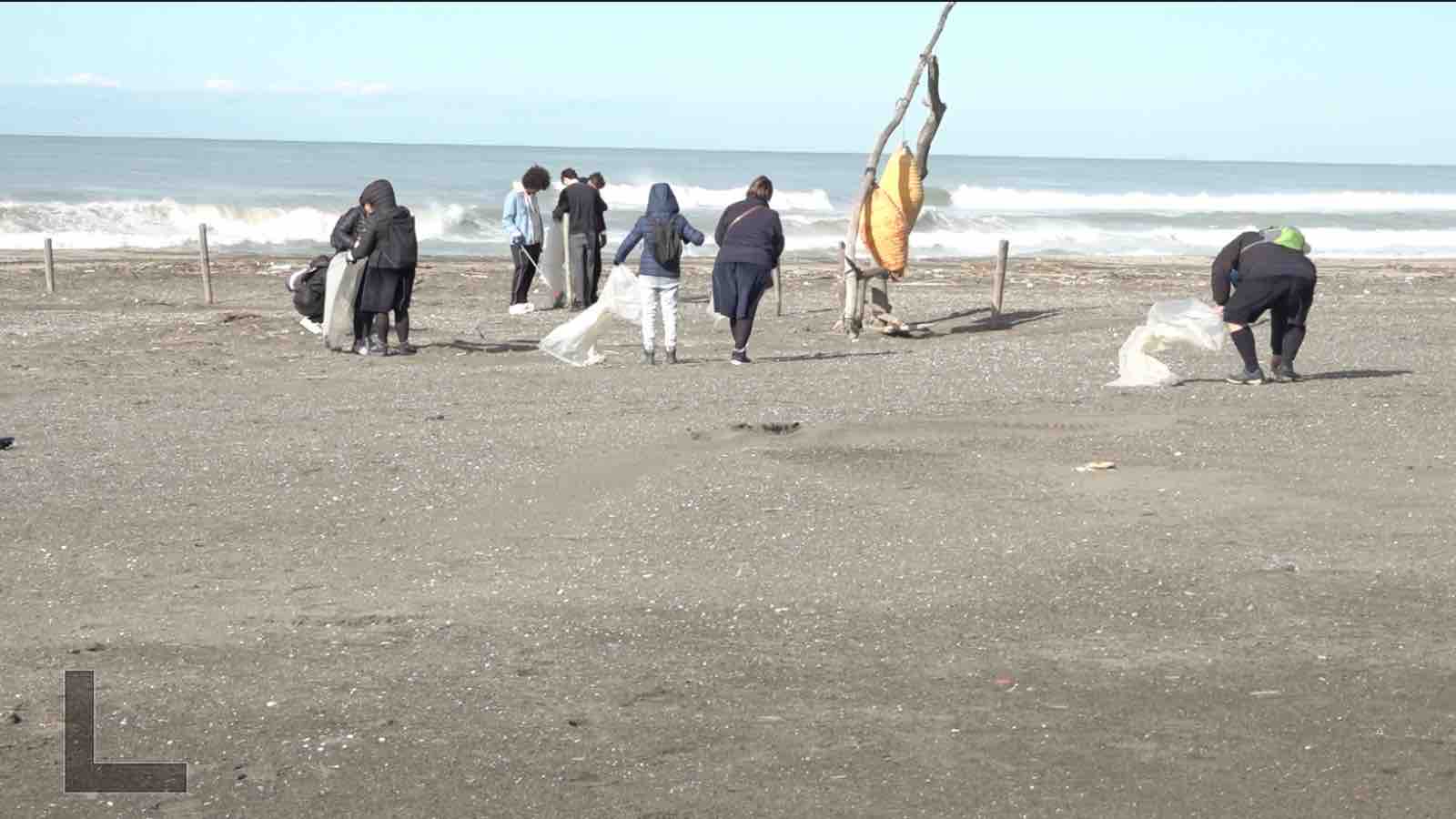 Ripulita la spiaggia delle tartarughe a Castelvolturno, l'associazione Domitia e le istituzioni in campo
