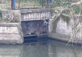 Epatite A a Napoli, “Tra le possibili cause la rottura di una fogna”