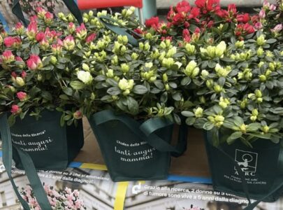 Festa della Mamma a Mugnano, torna l’Azalea della Ricerca AIRC con la Pro Loco