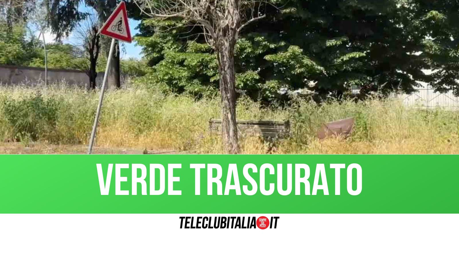 aversa verde urbano trascurato erba alta sporcizia e aiuole nel degrado da Teleclubitalia.it aversa verde urbano trascurato erba alta sporcizia e aiuole nel degrado